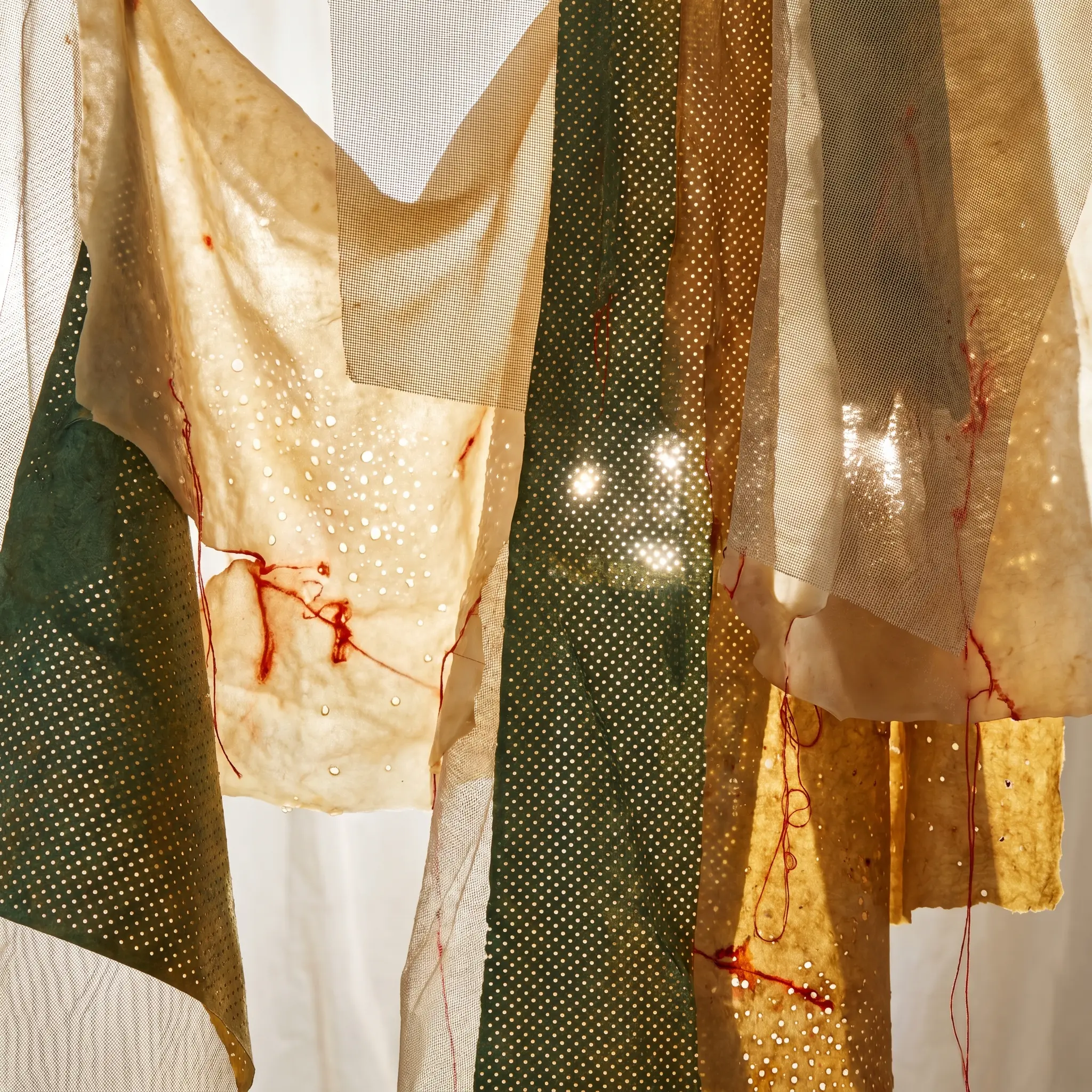 Perforated sheets and translucent membranes arranged as a permeability study